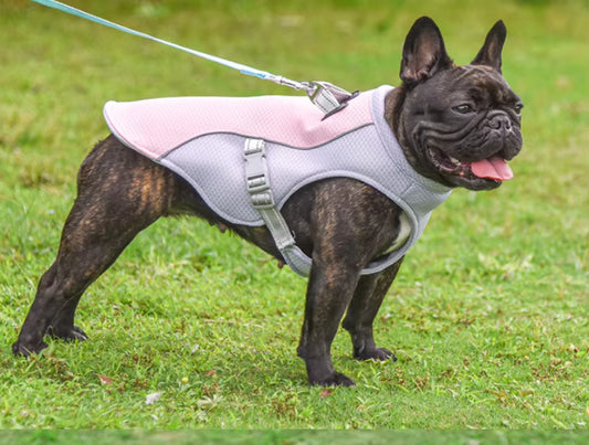 Pet Cooling Vest – Breathable Summer Cooling Clothes for Medium & Large Dogs