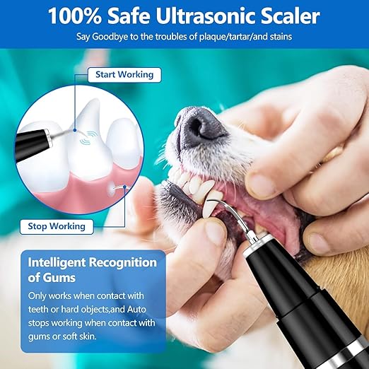 Pet Plaque Remover Teeth Cleaning Kit for Dogs & Cats, Rechargeable Ultrasonic Dental Cleaner