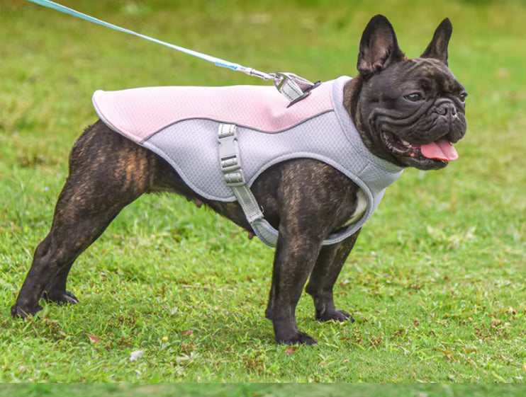 Pet Cooling Vest – Breathable Summer Cooling Clothes for Medium & Large Dogs