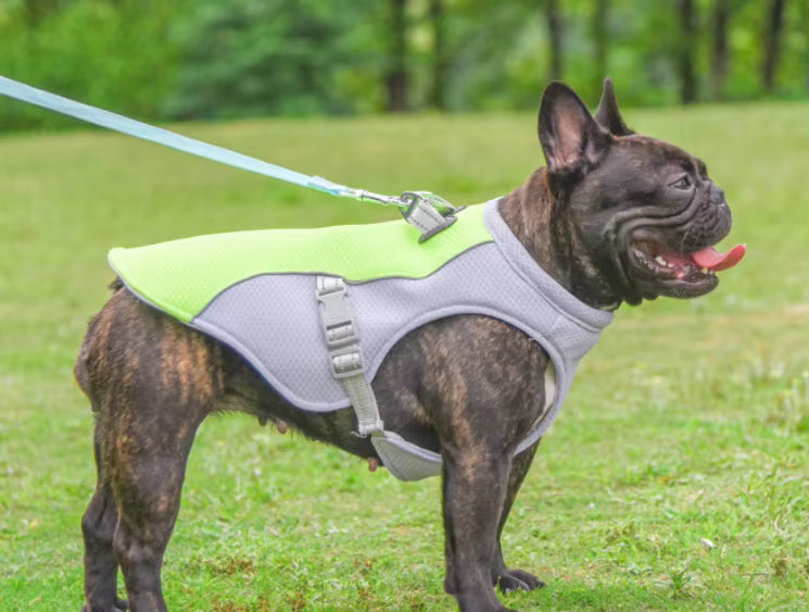 Pet Cooling Vest – Breathable Summer Cooling Clothes for Medium & Large Dogs