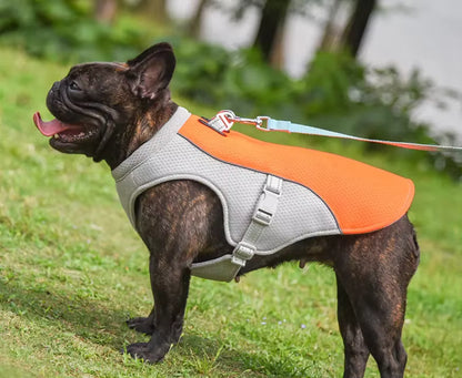 Pet Cooling Vest – Breathable Summer Cooling Clothes for Medium & Large Dogs
