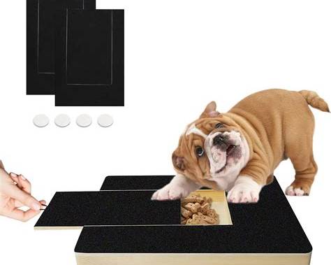 Replacement Nail Filing Pads – 3 Pack for dog nail scracher with draw treat