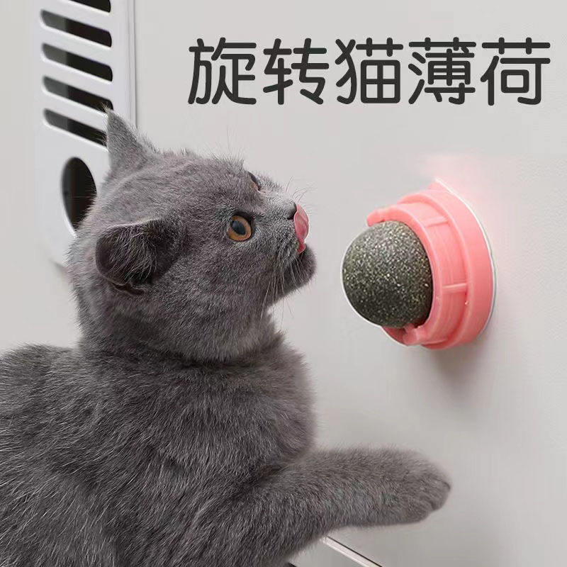 Catnip Rotating Play Ball for Cats – IP67 Waterproof Interactive Mint Flavor Cat Toy | Eco-Friendly Kitten & Cat Entertainment Toy