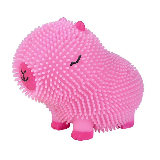 Capybara Colorful Puffer Toy – Cute Squishy Sensory Fidget Toy for Kids & Adults | Stress Relief Gift